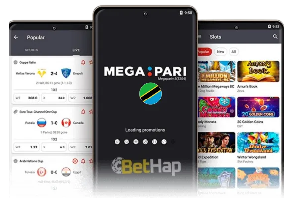 Why Choose Megapari Tanzania